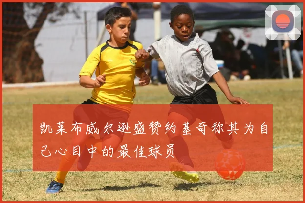 凯莱布威尔逊盛赞约基奇称其为自己心目中的最佳球员
